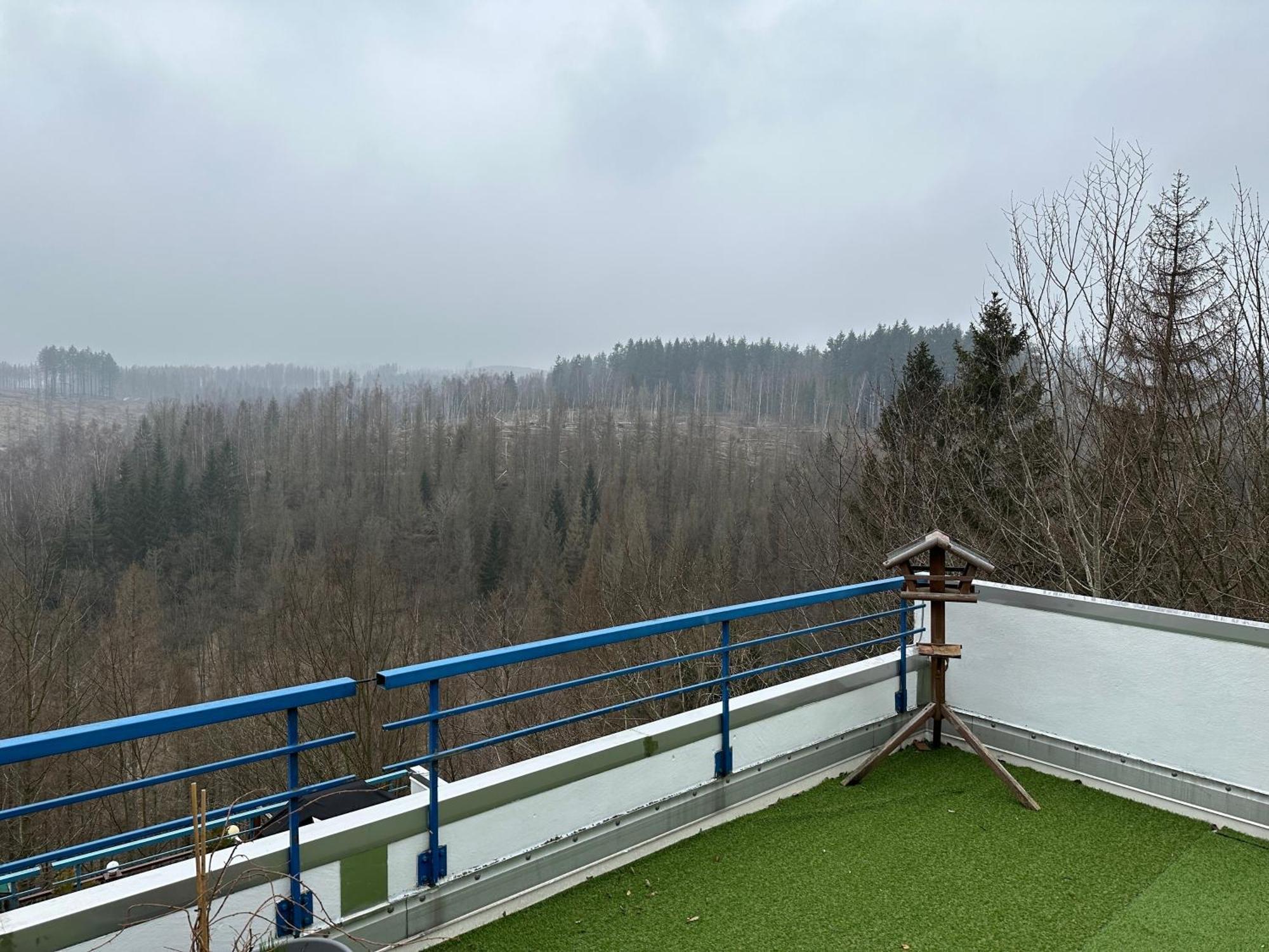 Ferienwohnung Harz #4, Pool, Sauna, Wlan Braunlage Exteriör bild